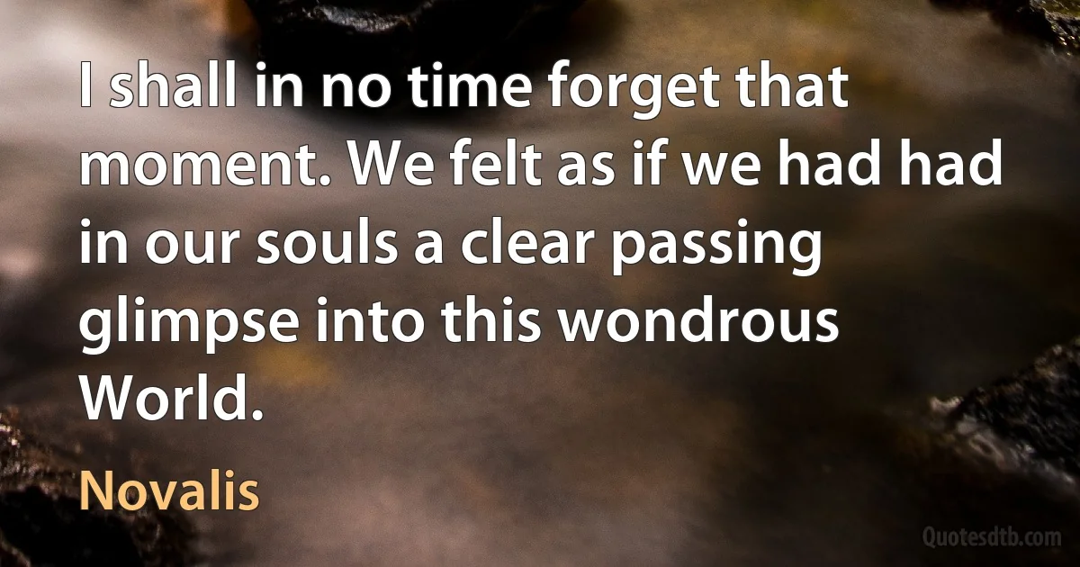 I shall in no time forget that moment. We felt as if we had had in our souls a clear passing glimpse into this wondrous World. (Novalis)