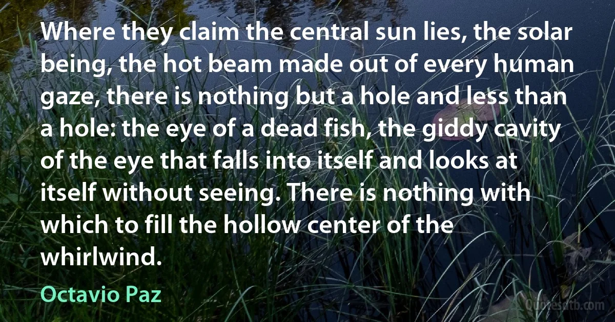 Where they claim the central sun lies, the solar being, the hot beam made out of every human gaze, there is nothing but a hole and less than a hole: the eye of a dead fish, the giddy cavity of the eye that falls into itself and looks at itself without seeing. There is nothing with which to fill the hollow center of the whirlwind. (Octavio Paz)