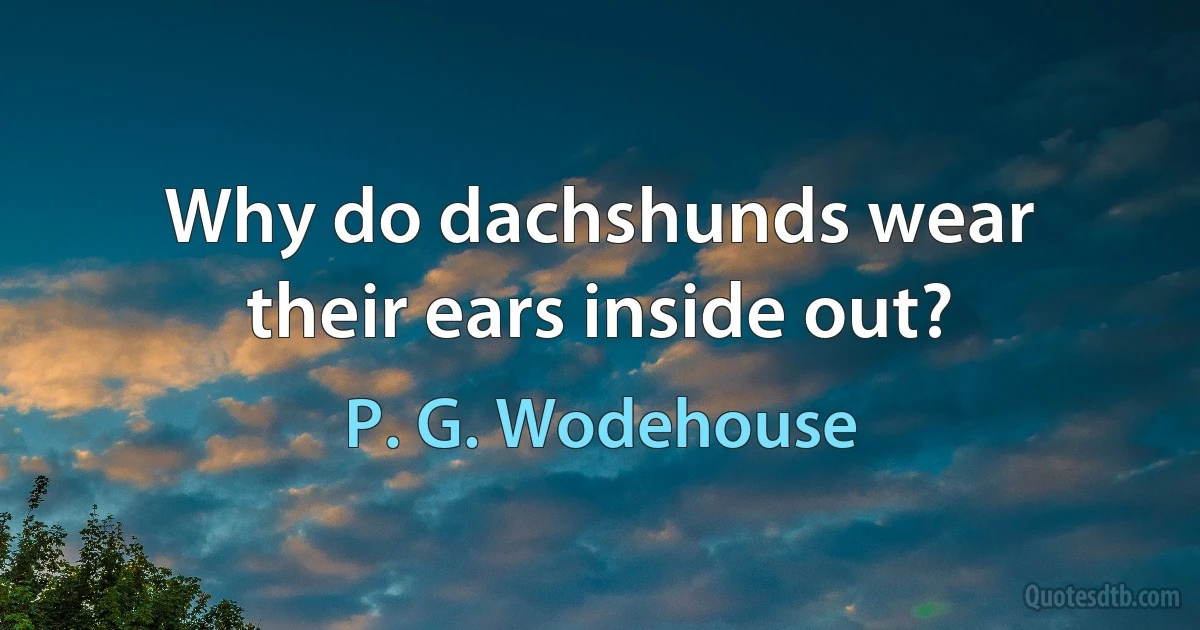 Why do dachshunds wear their ears inside out? (P. G. Wodehouse)