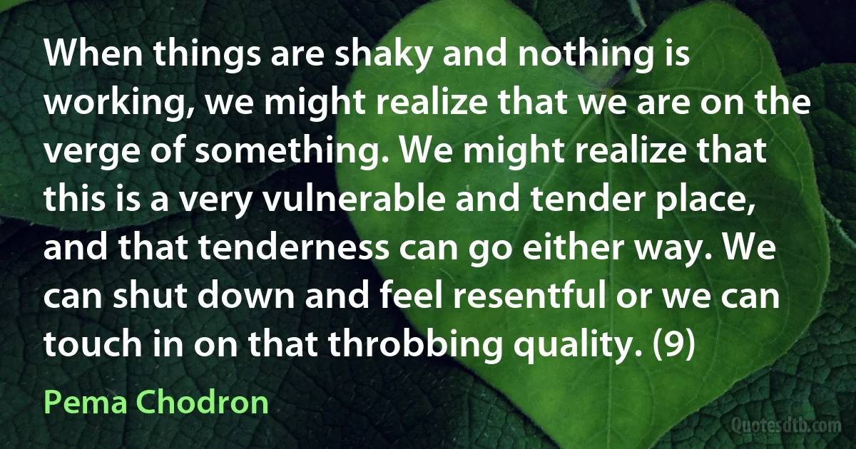 When things are shaky and nothing is working, we might realize that we are on the verge of something. We might realize that this is a very vulnerable and tender place, and that tenderness can go either way. We can shut down and feel resentful or we can touch in on that throbbing quality. (9) (Pema Chodron)