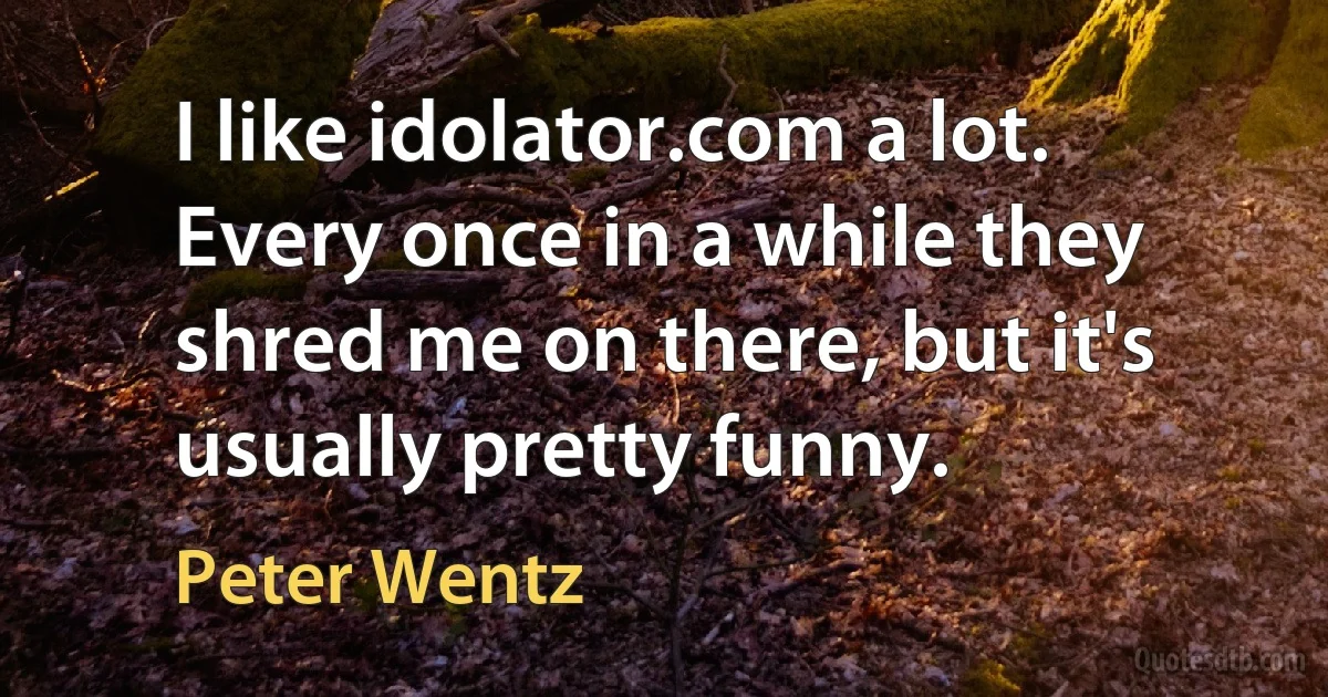 I like idolator.com a lot. Every once in a while they shred me on there, but it's usually pretty funny. (Peter Wentz)