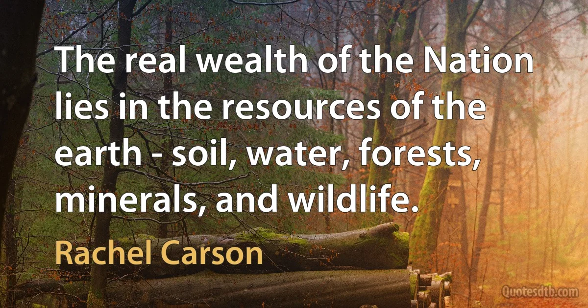 The real wealth of the Nation lies in the resources of the earth - soil, water, forests, minerals, and wildlife. (Rachel Carson)