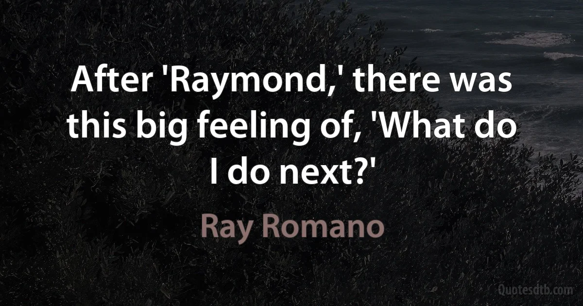 After 'Raymond,' there was this big feeling of, 'What do I do next?' (Ray Romano)