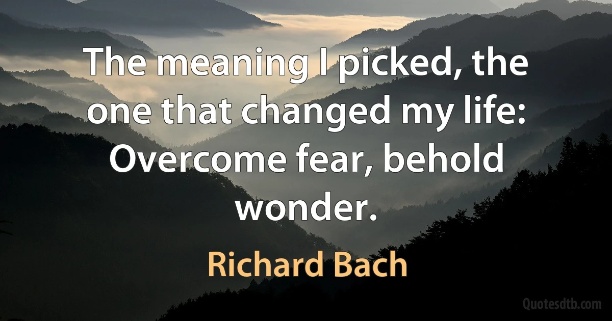 The meaning I picked, the one that changed my life: Overcome fear, behold wonder. (Richard Bach)