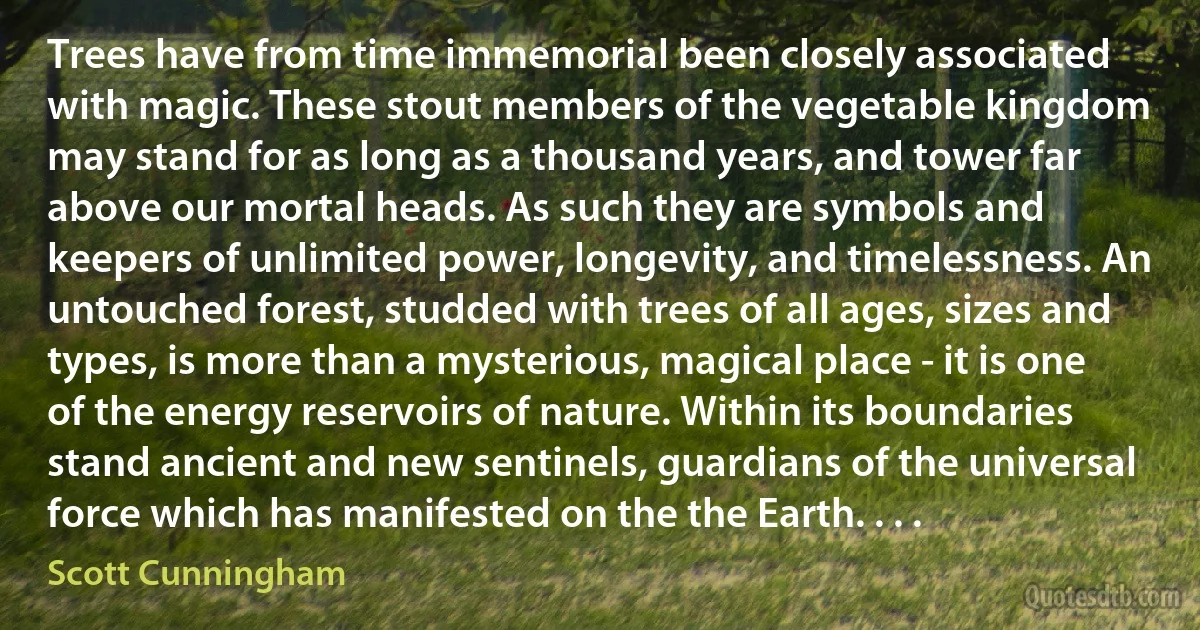 Trees have from time immemorial been closely associated with magic. These stout members of the vegetable kingdom may stand for as long as a thousand years, and tower far above our mortal heads. As such they are symbols and keepers of unlimited power, longevity, and timelessness. An untouched forest, studded with trees of all ages, sizes and types, is more than a mysterious, magical place - it is one of the energy reservoirs of nature. Within its boundaries stand ancient and new sentinels, guardians of the universal force which has manifested on the the Earth. . . . (Scott Cunningham)