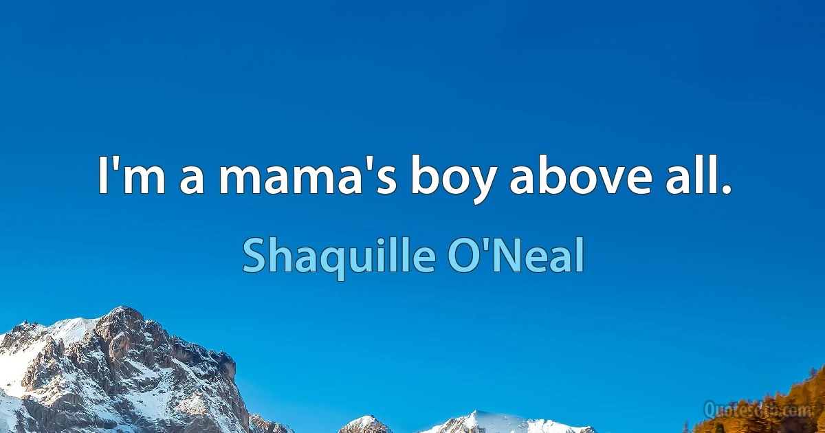 I'm a mama's boy above all. (Shaquille O'Neal)