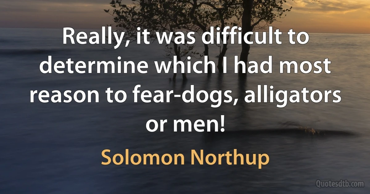 Really, it was difficult to determine which I had most reason to fear-dogs, alligators or men! (Solomon Northup)