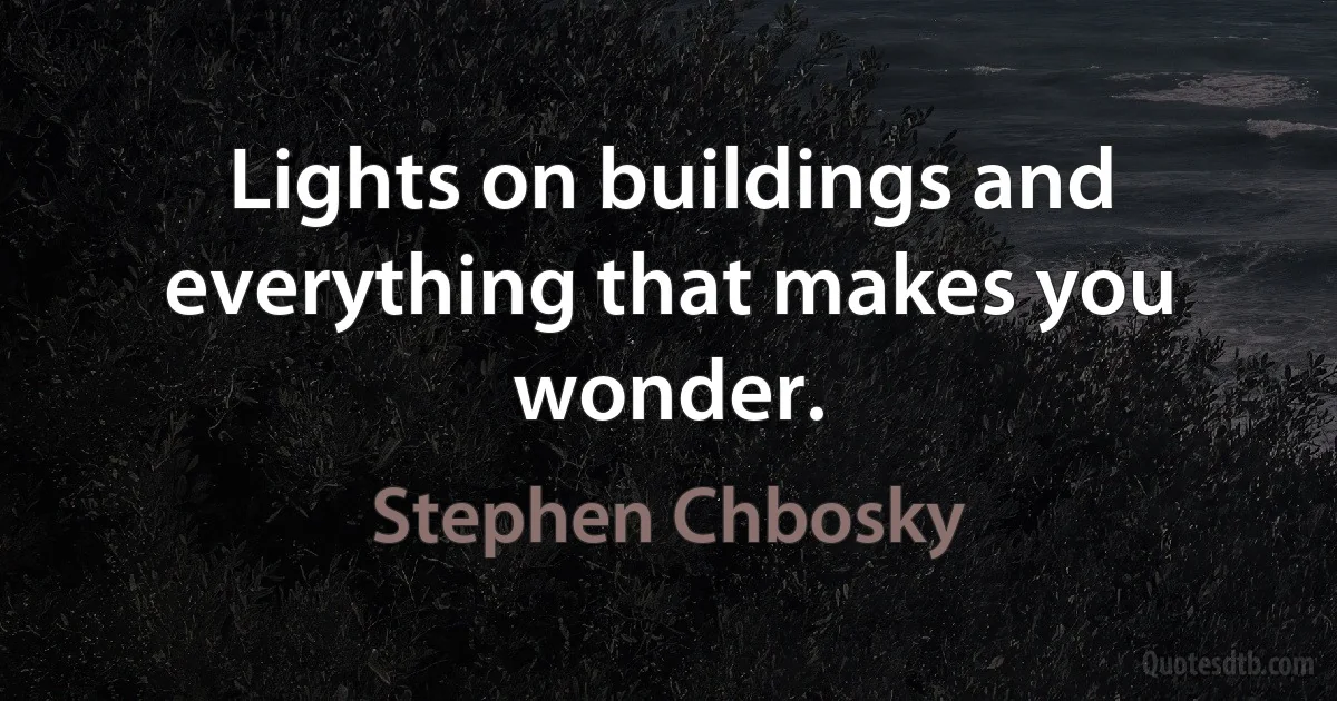 Lights on buildings and everything that makes you wonder. (Stephen Chbosky)