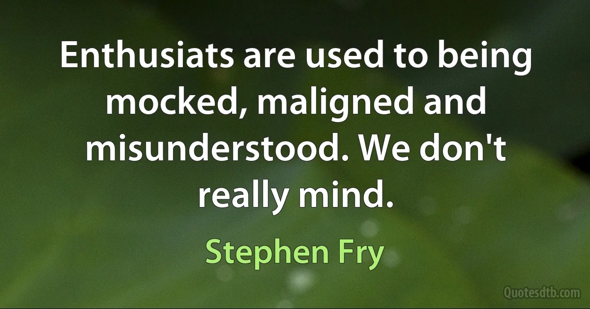 Enthusiats are used to being mocked, maligned and misunderstood. We don't really mind. (Stephen Fry)