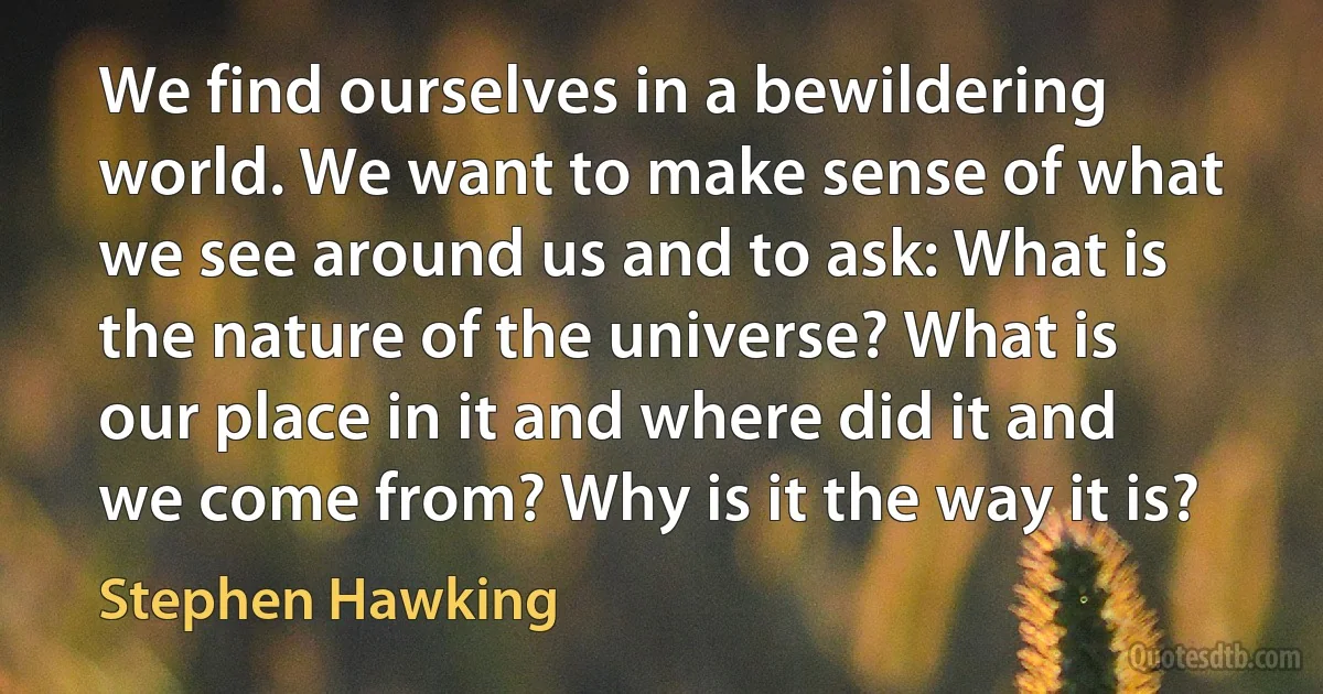 We find ourselves in a bewildering world. We want to make sense of what we see around us and to ask: What is the nature of the universe? What is our place in it and where did it and we come from? Why is it the way it is? (Stephen Hawking)