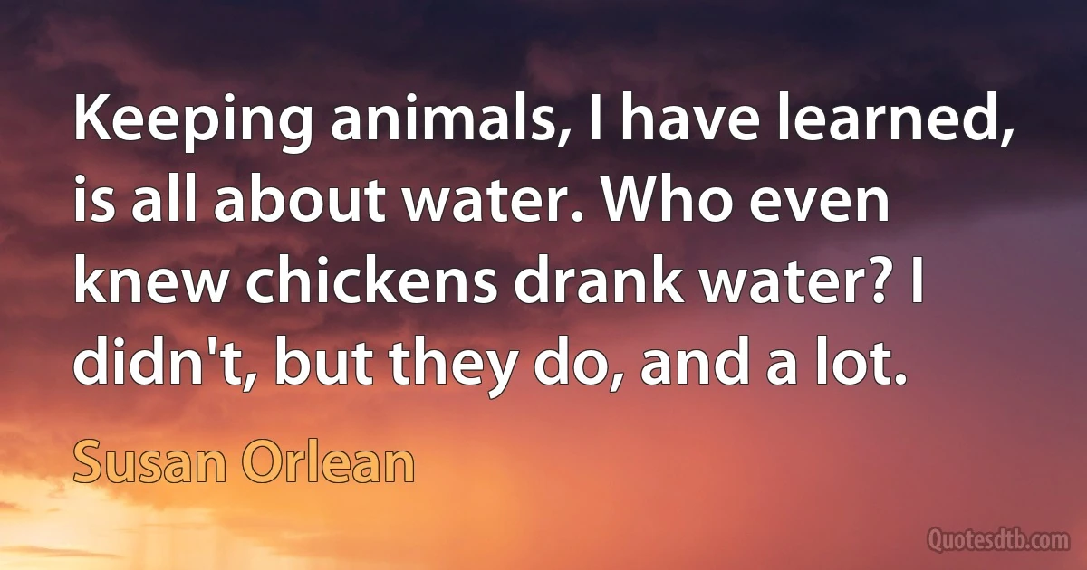 Keeping animals, I have learned, is all about water. Who even knew chickens drank water? I didn't, but they do, and a lot. (Susan Orlean)