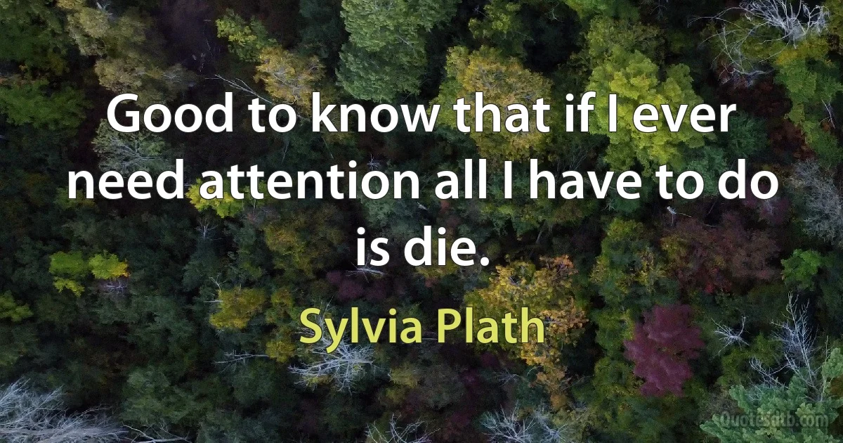 Good to know that if I ever need attention all I have to do is die. (Sylvia Plath)