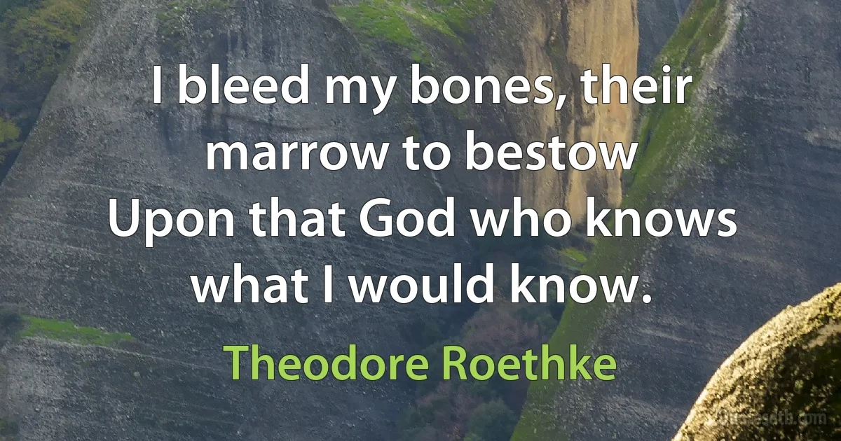 I bleed my bones, their marrow to bestow
Upon that God who knows what I would know. (Theodore Roethke)