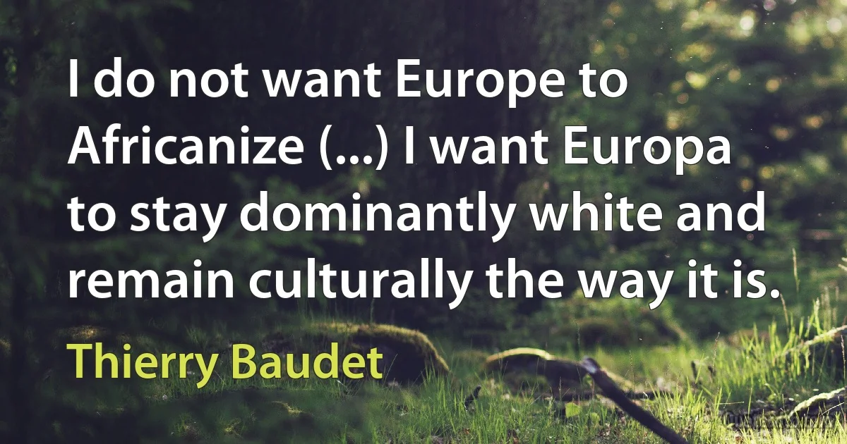 I do not want Europe to Africanize (...) I want Europa to stay dominantly white and remain culturally the way it is. (Thierry Baudet)