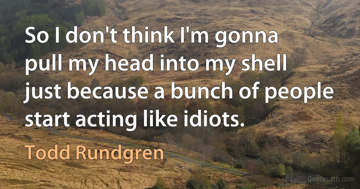 So I don't think I'm gonna pull my head into my shell just because a bunch of people start acting like idiots. (Todd Rundgren)