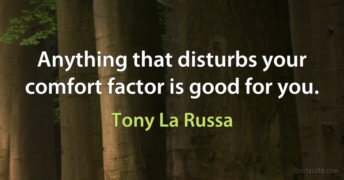 Anything that disturbs your comfort factor is good for you. (Tony La Russa)