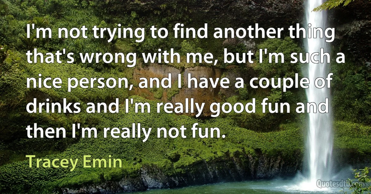 I'm not trying to find another thing that's wrong with me, but I'm such a nice person, and I have a couple of drinks and I'm really good fun and then I'm really not fun. (Tracey Emin)