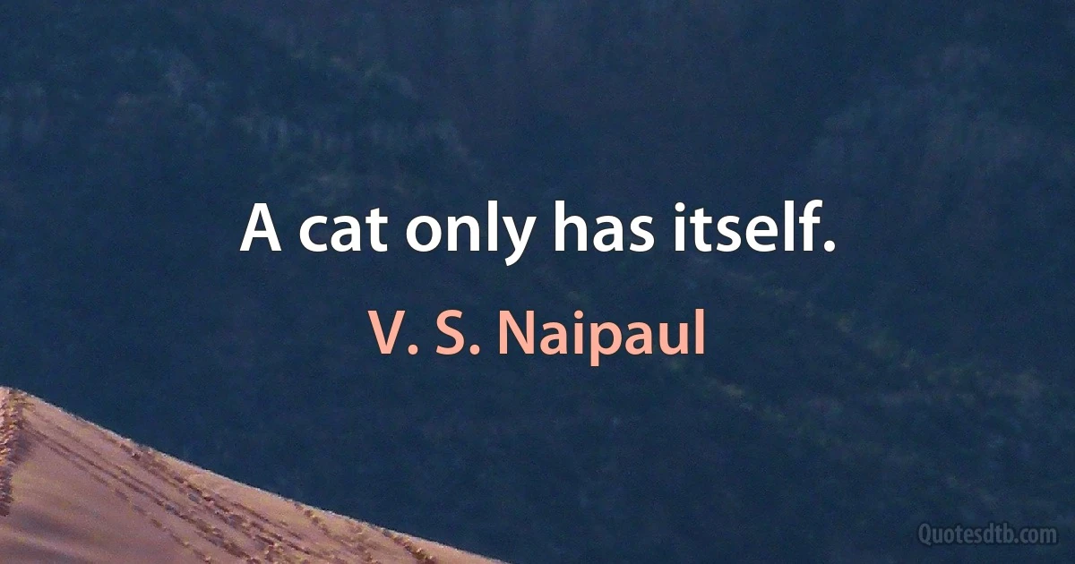 A cat only has itself. (V. S. Naipaul)