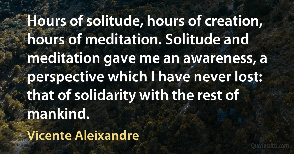 Hours of solitude, hours of creation, hours of meditation. Solitude and meditation gave me an awareness, a perspective which I have never lost: that of solidarity with the rest of mankind. (Vicente Aleixandre)