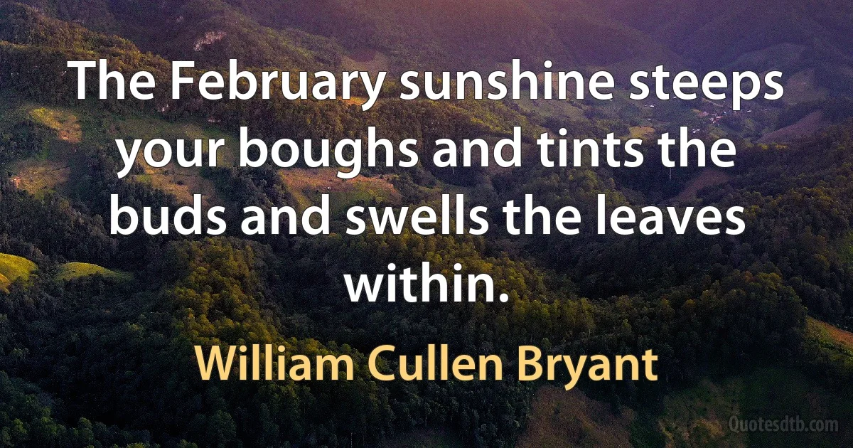 The February sunshine steeps your boughs and tints the buds and swells the leaves within. (William Cullen Bryant)