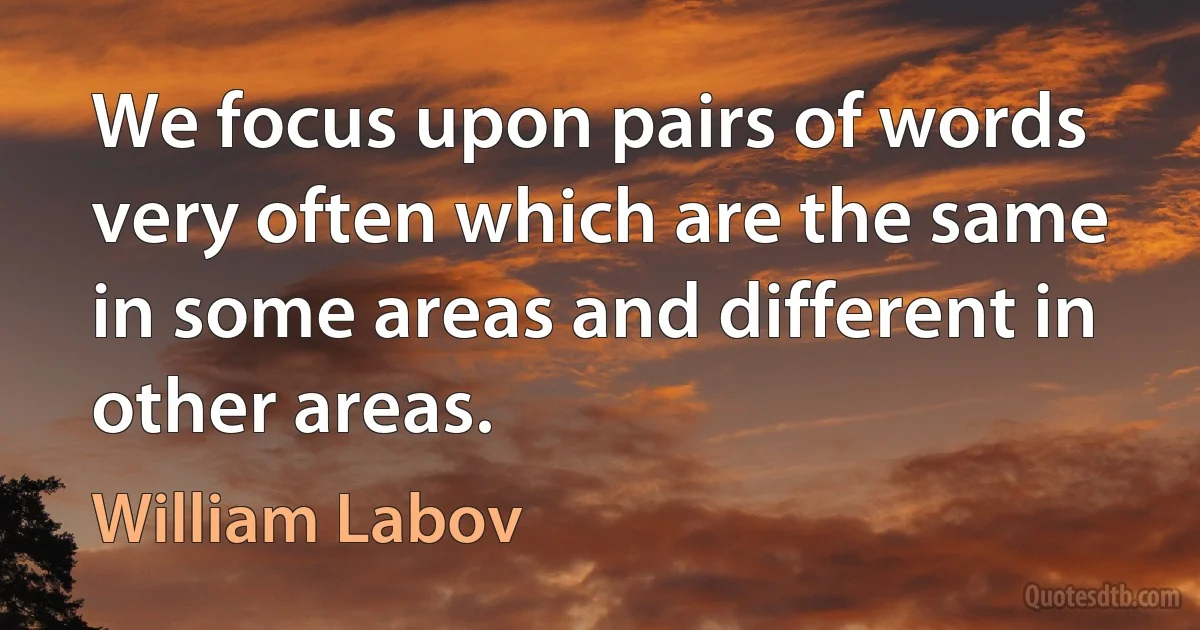 We focus upon pairs of words very often which are the same in some areas and different in other areas. (William Labov)