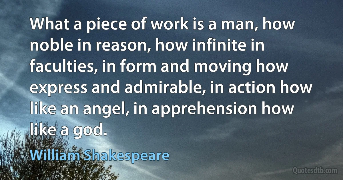 What a piece of work is a man, how noble in reason, how infinite in faculties, in form and moving how express and admirable, in action how like an angel, in apprehension how like a god. (William Shakespeare)