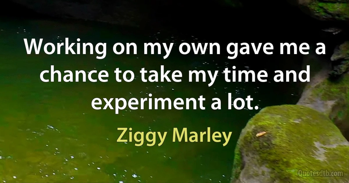 Working on my own gave me a chance to take my time and experiment a lot. (Ziggy Marley)