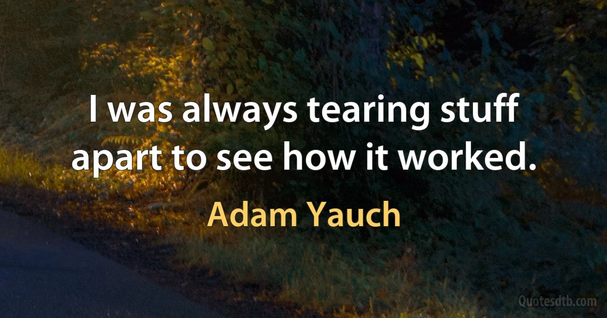 I was always tearing stuff apart to see how it worked. (Adam Yauch)