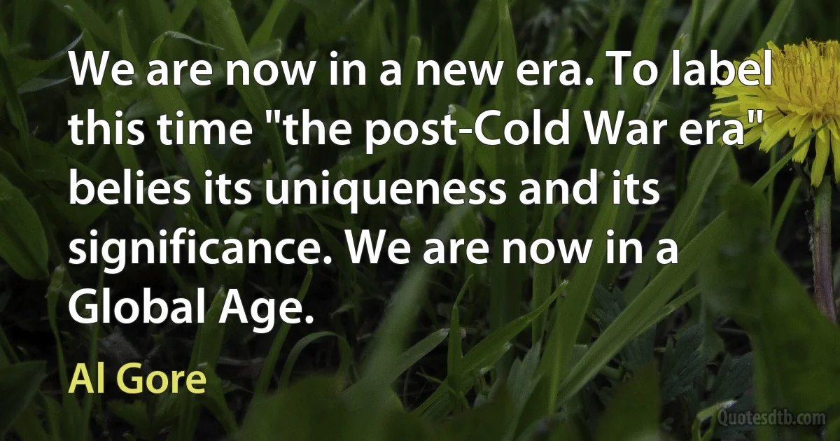 We are now in a new era. To label this time "the post-Cold War era" belies its uniqueness and its significance. We are now in a Global Age. (Al Gore)