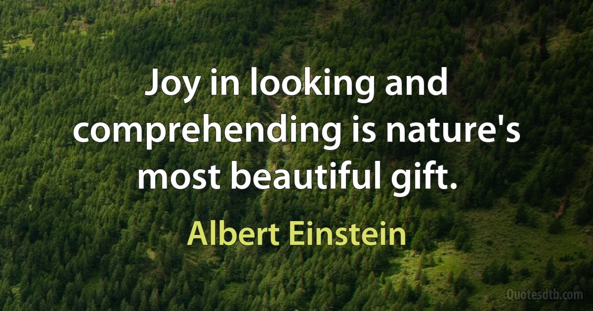 Joy in looking and comprehending is nature's most beautiful gift. (Albert Einstein)