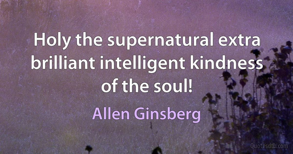 Holy the supernatural extra brilliant intelligent kindness of the soul! (Allen Ginsberg)