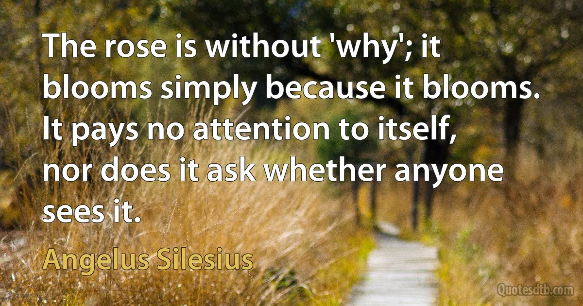 The rose is without 'why'; it blooms simply because it blooms. It pays no attention to itself, nor does it ask whether anyone sees it. (Angelus Silesius)