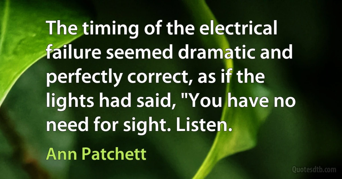 The timing of the electrical failure seemed dramatic and perfectly correct, as if the lights had said, "You have no need for sight. Listen. (Ann Patchett)