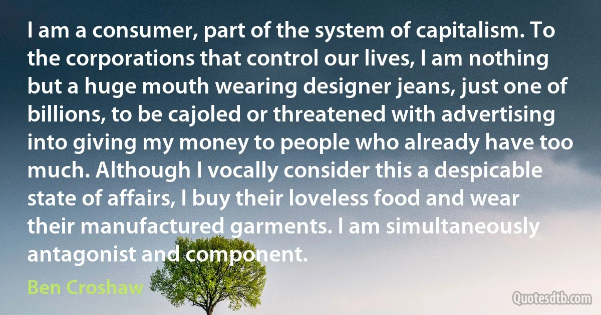 I am a consumer, part of the system of capitalism. To the corporations that control our lives, I am nothing but a huge mouth wearing designer jeans, just one of billions, to be cajoled or threatened with advertising into giving my money to people who already have too much. Although I vocally consider this a despicable state of affairs, I buy their loveless food and wear their manufactured garments. I am simultaneously antagonist and component. (Ben Croshaw)