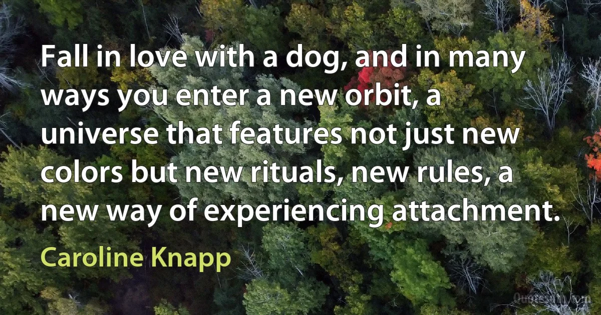 Fall in love with a dog, and in many ways you enter a new orbit, a universe that features not just new colors but new rituals, new rules, a new way of experiencing attachment. (Caroline Knapp)