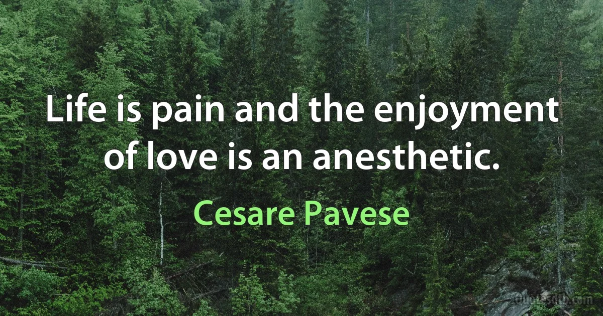 Life is pain and the enjoyment of love is an anesthetic. (Cesare Pavese)