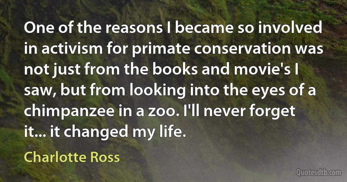 One of the reasons I became so involved in activism for primate conservation was not just from the books and movie's I saw, but from looking into the eyes of a chimpanzee in a zoo. I'll never forget it... it changed my life. (Charlotte Ross)