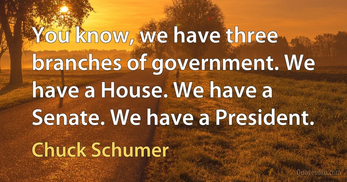 You know, we have three branches of government. We have a House. We have a Senate. We have a President. (Chuck Schumer)