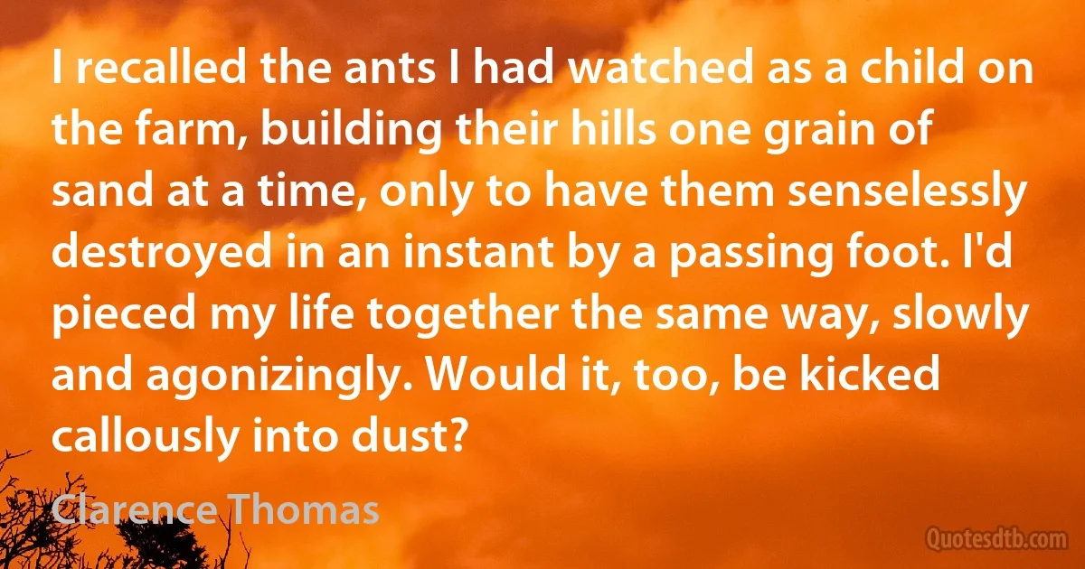 I recalled the ants I had watched as a child on the farm, building their hills one grain of sand at a time, only to have them senselessly destroyed in an instant by a passing foot. I'd pieced my life together the same way, slowly and agonizingly. Would it, too, be kicked callously into dust? (Clarence Thomas)