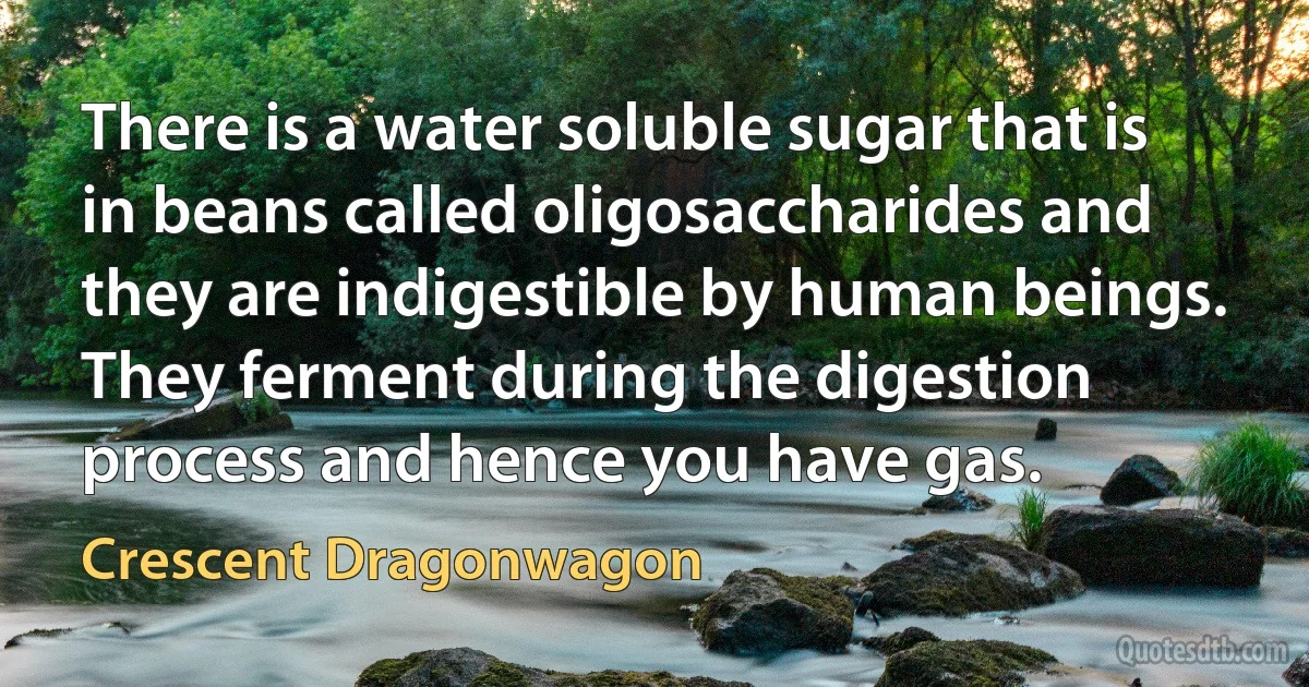 There is a water soluble sugar that is in beans called oligosaccharides and they are indigestible by human beings. They ferment during the digestion process and hence you have gas. (Crescent Dragonwagon)