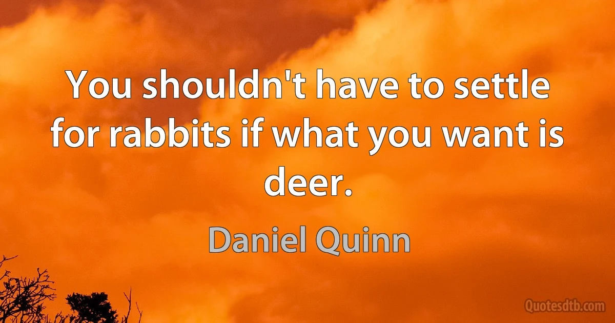 You shouldn't have to settle for rabbits if what you want is deer. (Daniel Quinn)