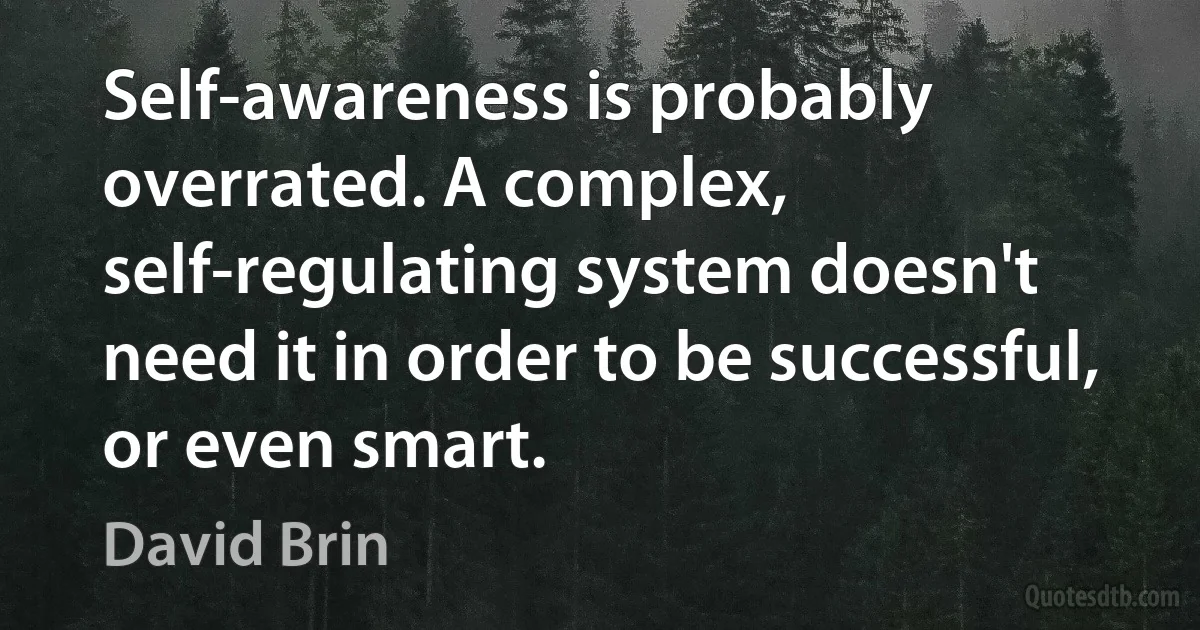 Self-awareness is probably overrated. A complex, self-regulating system doesn't need it in order to be successful, or even smart. (David Brin)