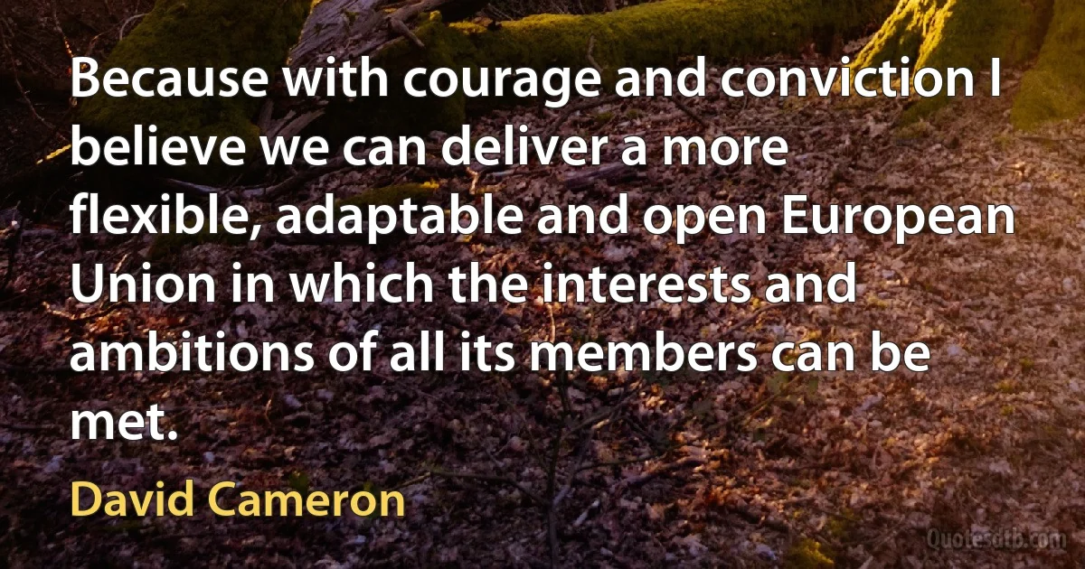 Because with courage and conviction I believe we can deliver a more flexible, adaptable and open European Union in which the interests and ambitions of all its members can be met. (David Cameron)