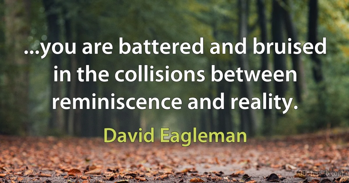 ...you are battered and bruised in the collisions between reminiscence and reality. (David Eagleman)