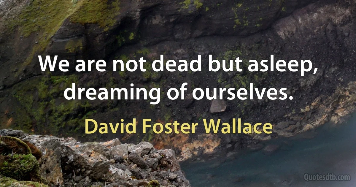 We are not dead but asleep, dreaming of ourselves. (David Foster Wallace)