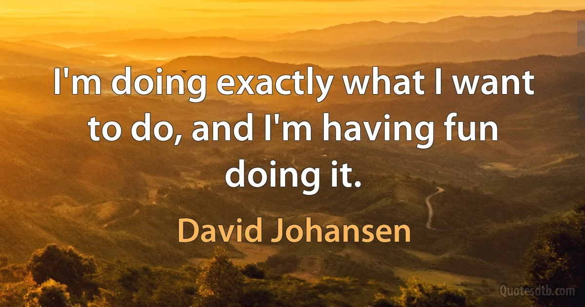 I'm doing exactly what I want to do, and I'm having fun doing it. (David Johansen)