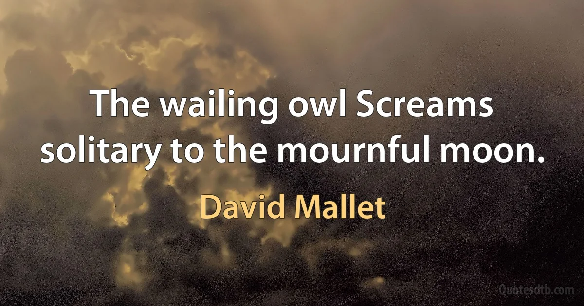 The wailing owl Screams solitary to the mournful moon. (David Mallet)