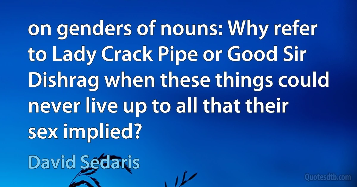 on genders of nouns: Why refer to Lady Crack Pipe or Good Sir Dishrag when these things could never live up to all that their sex implied? (David Sedaris)