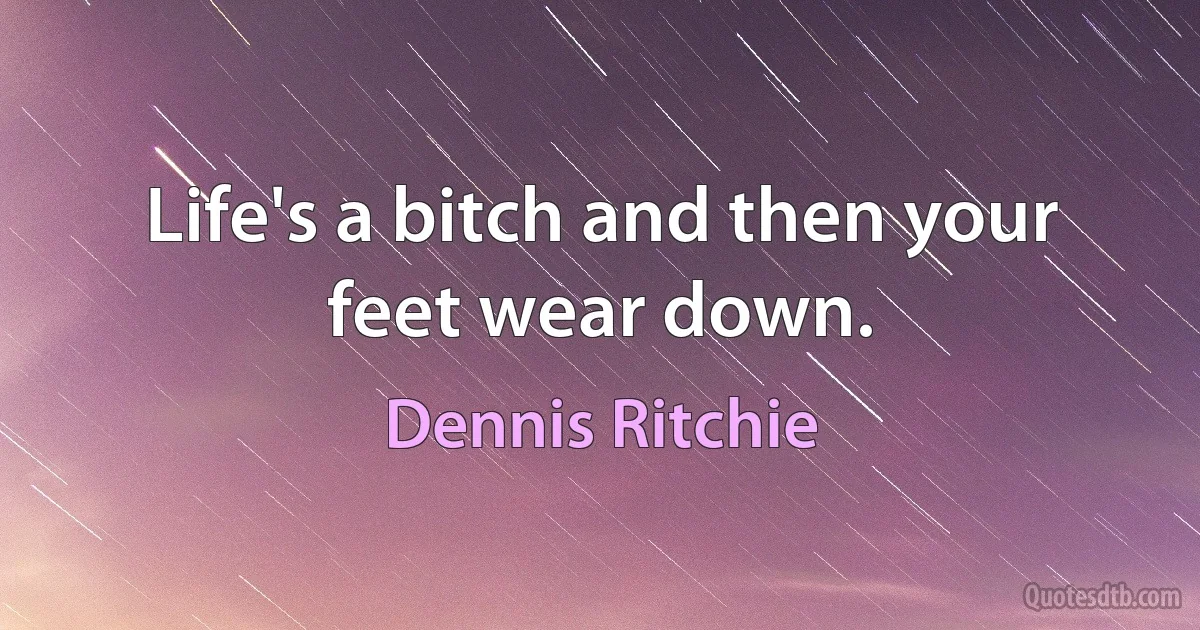 Life's a bitch and then your feet wear down. (Dennis Ritchie)