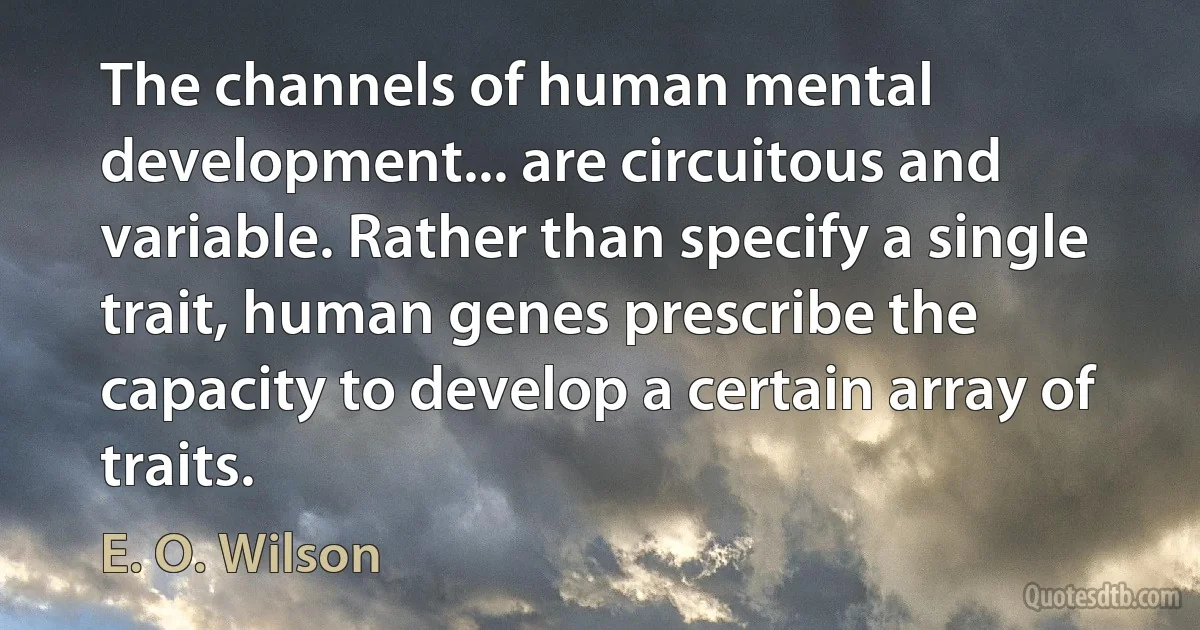 The channels of human mental development... are circuitous and variable. Rather than specify a single trait, human genes prescribe the capacity to develop a certain array of traits. (E. O. Wilson)